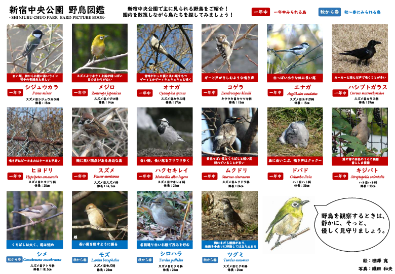 新宿中央公園にあつまる鳥たち〈新宿中央公園の生き物シリーズ〉
